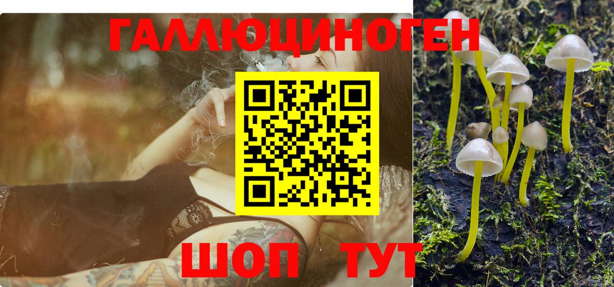 купить наркоту  Вход с VPN  Биробиджан  Псилоцибиновые грибы прущие грибы  Галлюциногенные грибы Psilocybe 